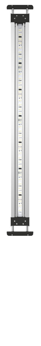 Éclairage d’aquarium MotionControl LED 80 — MotionControl LED 80