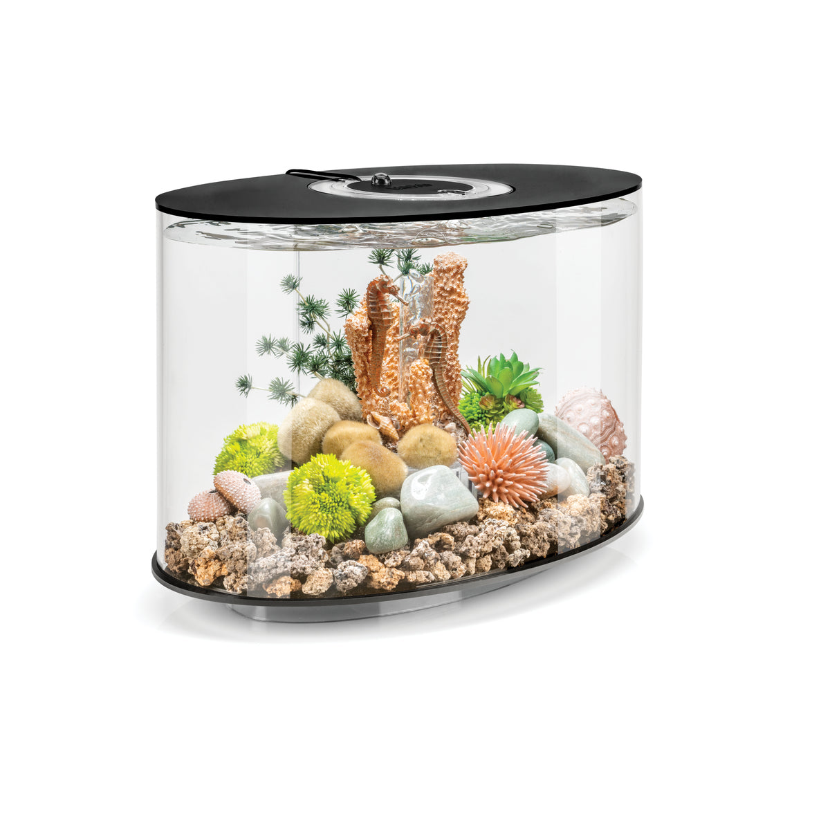 Aquarium biOrb LOOP 15 MCR noir — biOrb LOOP 15 MCR zwart
