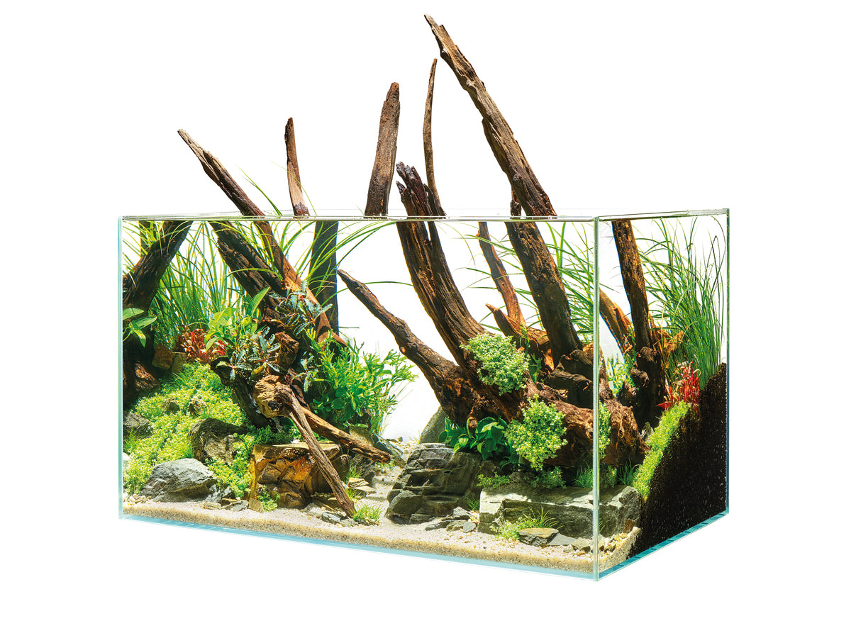 Aquarium ScaperLine 100 — ScaperLine 100 Aquarium