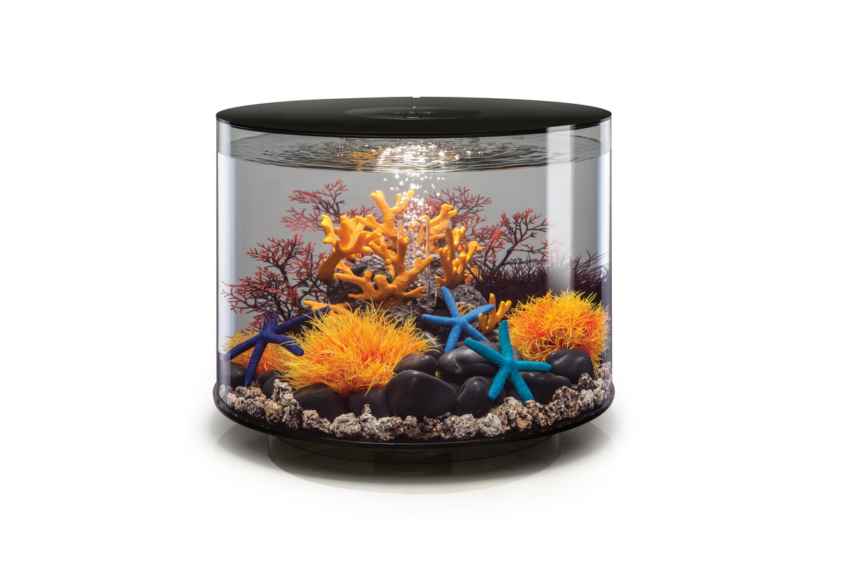 Aquarium biOrb TUBE 35 LED noir — biOrb TUBE 35 LED zwart