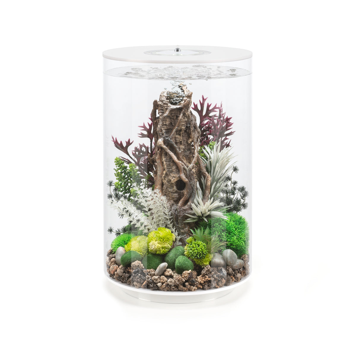 Aquarium biOrb TUBE 30 LED blanc — biOrb TUBE 30 LED wit