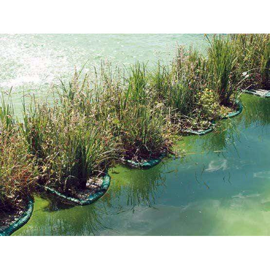 Aquigarden Accessoires pour plantes Île flottante pour plantes aquatiques ronde type 61 8717605078908 SG381
