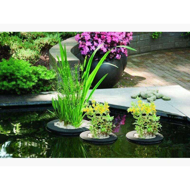 Velda Paniers de plantation Panier de plantation flottant carré de 25CM - Velda 8711921208094 127577